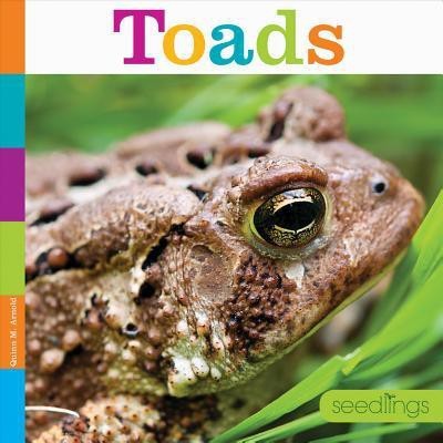 Toads(English, Paperback, Arnold Quinn M)