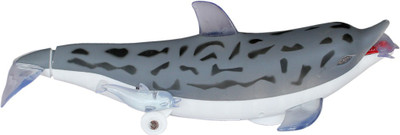 

Toys Factory FISH MARINE-373-15A G(Multicolor)
