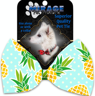 

Mirage Pet Products Bow for Dog(Multicolor