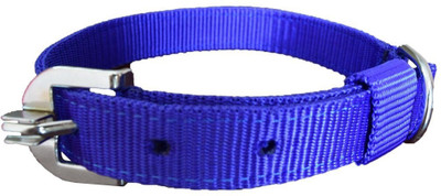 

Furious3D Dog Everyday Collar(, BLUE