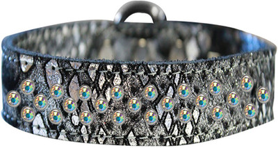 

Mirage Pet Products Dog Everyday Collar(, Silver
