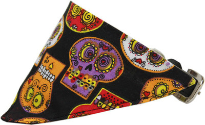 

Mirage Pet Products Dog Everyday Collar(, Multicolor