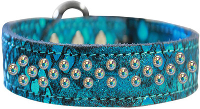 

Mirage Pet Products Dog Everyday Collar(, Blue