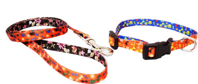 

Petshop7 0.5inch High Quality & Stylish Nylon Printed Red Dog Collar & Leash for Puppies- Xtra Small (Neck Size - 12-18inch) Dog Collar & Leash(, Red