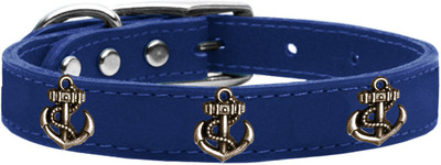 

Mirage Pet Products Dog Everyday Collar(, Blue