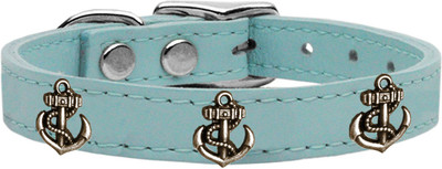 

Mirage Pet Products Dog Everyday Collar(, Blue