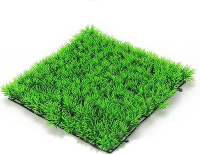 

JAINSONS PET PRODUCTS Crushed Coral Unplanted Substrate(Green)
