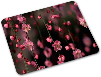 

Shoprider Desginer-190 Mousepad(Multicolor)