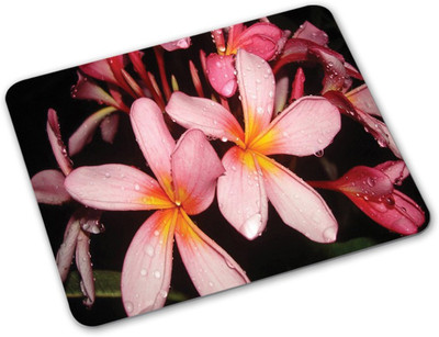 

Shoprider Desginer-36 Mousepad(Multicolor)