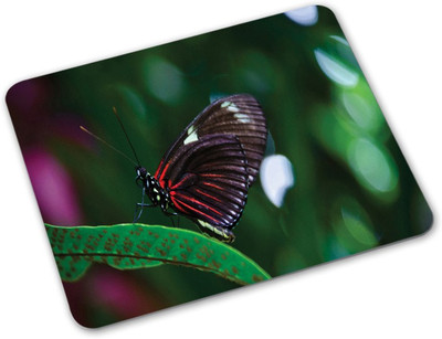 

Shoprider Desginer-136 Mousepad(Multicolor)