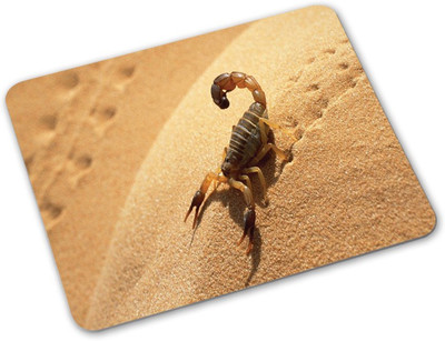 

Shoprider Desginer-422 Mousepad(Multicolor)