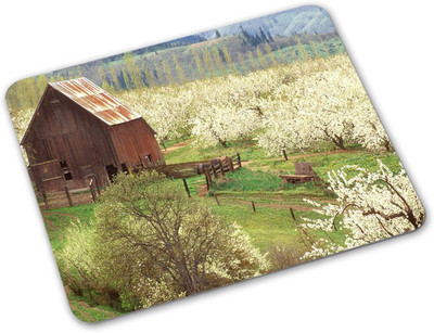

Shoprider Desginer-296 Mousepad(Multicolor)