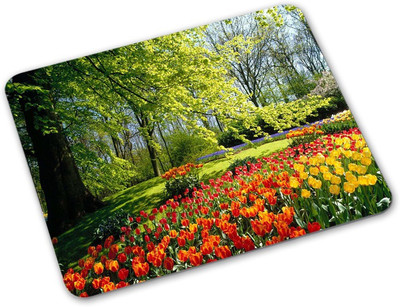 

Shoprider Desginer-16 Mousepad(Multicolor)