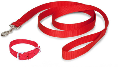 Furious3D Dog Collar & Leash(, RED