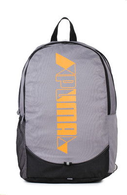 

Puma Pioneer IND 22 L Laptop Backpack(Grey)