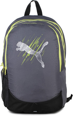 

Puma Pioneer IND 23 L Laptop Backpack(Grey)