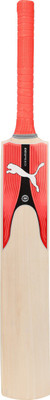 Puma evoSPEED KW 4 X EDGE Bat Kashmir Willow Cricket Bat(, NA