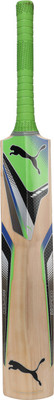 

Puma EvoSpeed Chromium Force GT 1 Kashmir Willow Cricket Bat(, NA