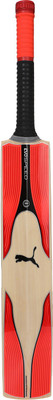 Puma evoSPEED 7.17 Youth bat English Willow Cricket Bat(, NA