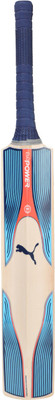 Puma evoPOWER KW 2 bat Kashmir Willow Cricket Bat(, NA