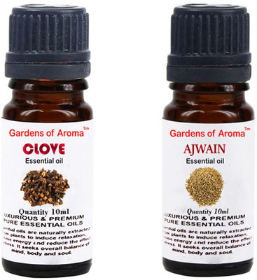 

Gardens Of Aroma Clove Essential Oil And Ajwain Essential Oil(20 ml)