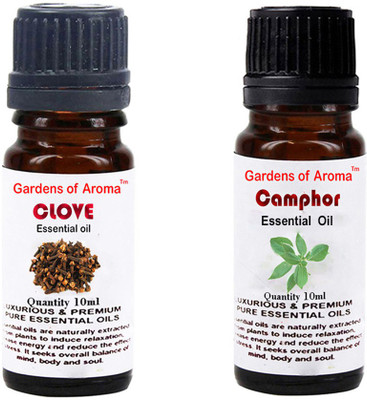 

Gardens Of Aroma Clove Essential Oil And Camphor Essential Oil(20 ml)