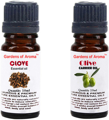 

Gardens Of Aroma Clove Essential Oil And Olive Carrier Oil(20 ml)