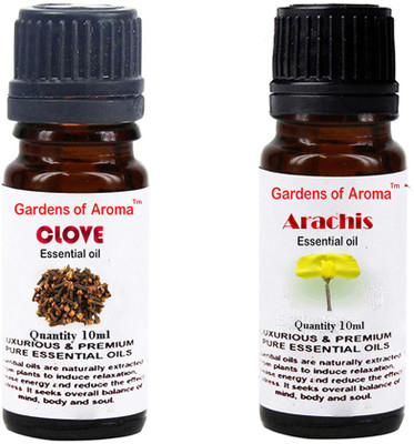 

Gardens Of Aroma Clove Essential Oil And Arachis Essential Oil(20 ml)