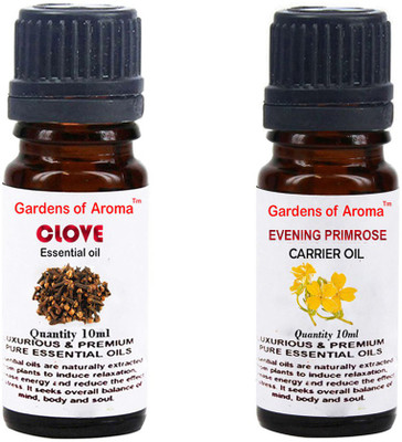 Gardens Of Aroma Clove Essential Oil And Evening primrose Carrier Oil(20 ml)