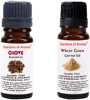 

Gardens Of Aroma Clove Essential Oil And Wheatgerm Carrier Oil(20 ml)