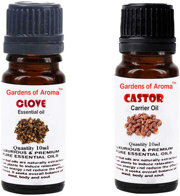 

Gardens Of Aroma Clove Essential Oil And Castor Carrier Oil(20 ml)