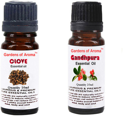 

Gardens Of Aroma Clove Essential Oil And Gandhpura Essential Oil(20 ml)
