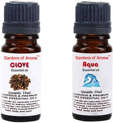 

Gardens Of Aroma Clove Essential Oil And Aqua Essential Oil(20 ml)