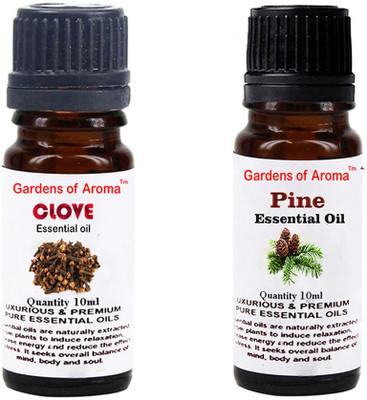 

Gardens Of Aroma Clove Essential Oil And Pine Essential Oil(20 ml)