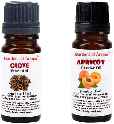 

Gardens Of Aroma Clove Essential Oil And Apricot Carrier Oil(20 ml)