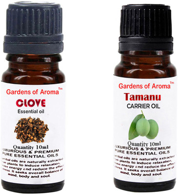 

Gardens Of Aroma Clove Essential Oil And Tamanu Carrier Oil(20 ml)