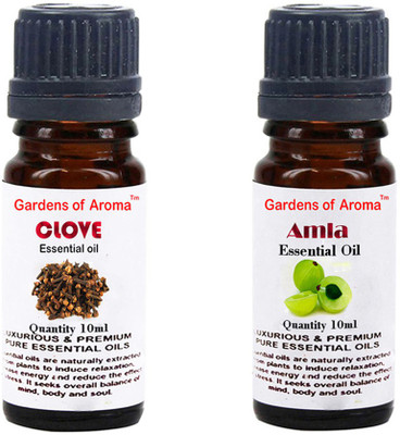 

Gardens Of Aroma Clove Essential Oil And Amla Essential Oil(20 ml)