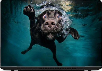 

Gallery 83 ® dog swimming laptop skin sticker wallpaer (15 inch x 10 inch) 2265 vinyl Laptop Decal 15.6