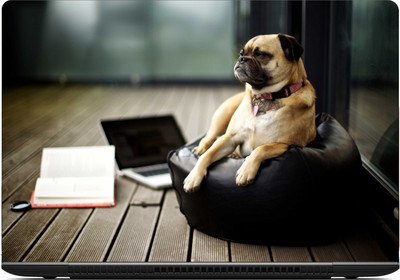 

Gallery 83 ® dog walpaper laptop skin sticker wallpaer (15 inch x 10 inch) 2236 vinyl Laptop Decal 15.6