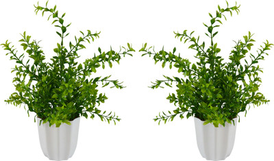 

Fancymart 239-1057 Green Wild Flower Artificial Flower with Pot(11.81103 inch, Pack of 2)