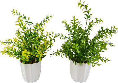 

Fancymart 248-1059 Multicolor Wild Flower Artificial Flower with Pot(11.81103 inch, Pack of 2)