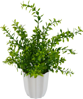 

Fancymart 239-1055 Green Wild Flower Artificial Flower with Pot(11.81103 inch, Pack of 1)