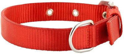 

Furious3D Dog Everyday Collar(, REd