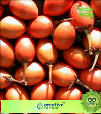 

Creative Farmer Fruit Seeds Maulsari Cherry Seeds For All Season Seed(20 per packet)