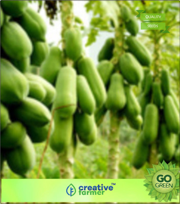 

Creative Farmer Red Papaya Fruit Seeds Seed(20 per packet)