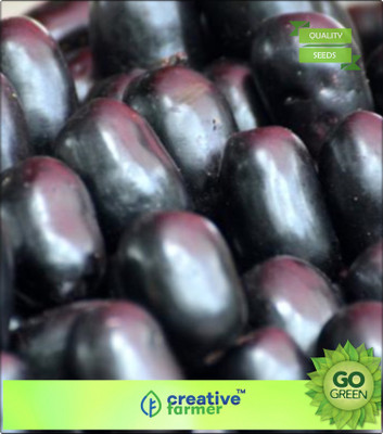 

Creative Farmer Fruit Seeds Jambolan Plum - Jamun Fruit Seeds Seeds For Farming Seed(20 per packet)