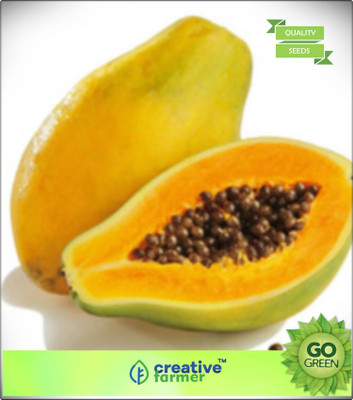 

Creative Farmer Carica Papaya Plant Seeds For Growing Seed(20 per packet)