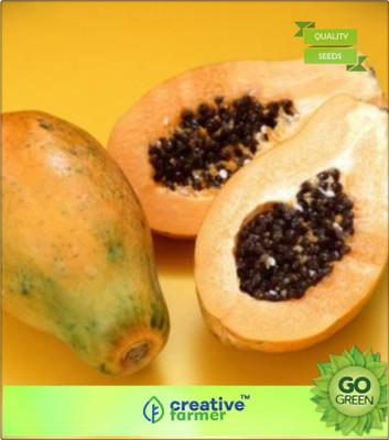 

Creative Farmer Papaya Fruit Seeds Mixed Varieties Fruit Seeds For Garden Bonsai Plant Seeds Seed(20 per packet)
