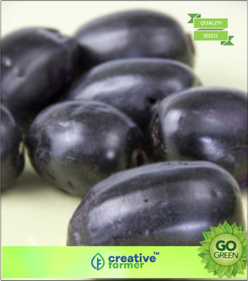 

Creative Farmer Fruit Seeds Damson Plum - Jamun Fruit Seeds Fruit Seeds For Garden Seed(20 per packet)
