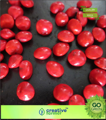 

Creative Farmer Seeds For Farming Red Sandalwood - Sokakainjo Seeds For Cultivation Seed(20 per packet)